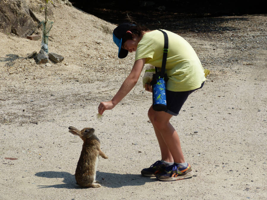 Touristes de l'île aux lapins