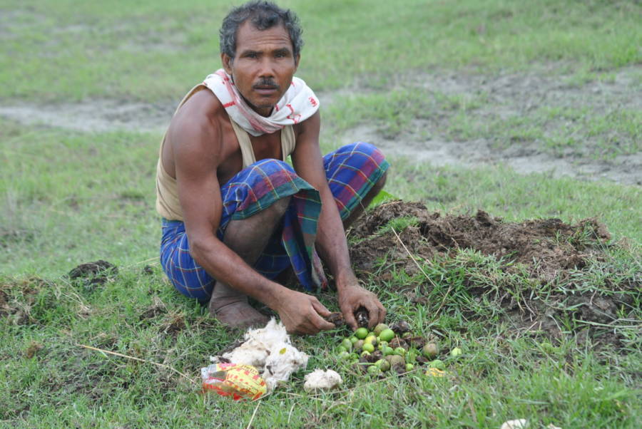 Jadav Payeng Planting