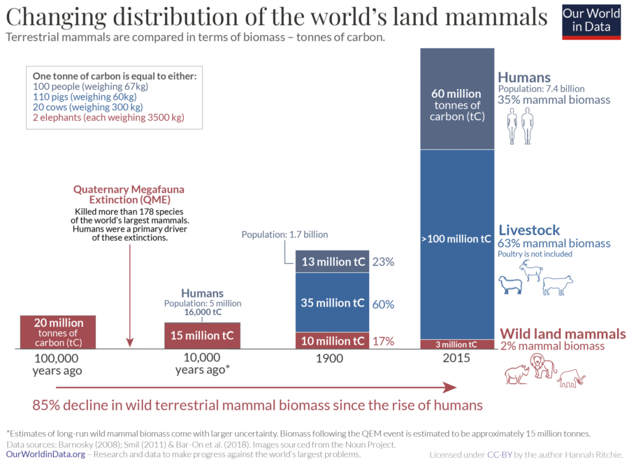 Anthropocene Chart
