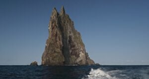 Ball's Pyramid Featured