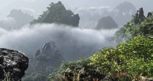 Cloud Forest Jurassic Peak