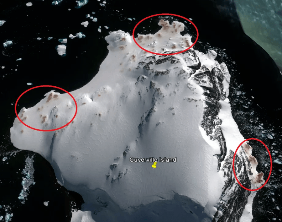 Penguin Poop Satellite Image