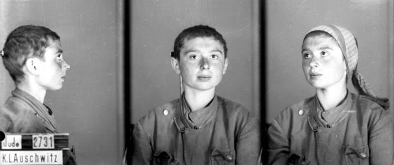 Jewish Prisoner 2371 Auschwitz