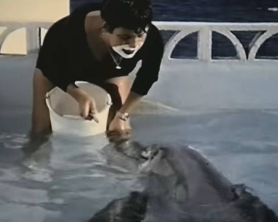 Margaret Howe Lovatt With Peter The Dolphin