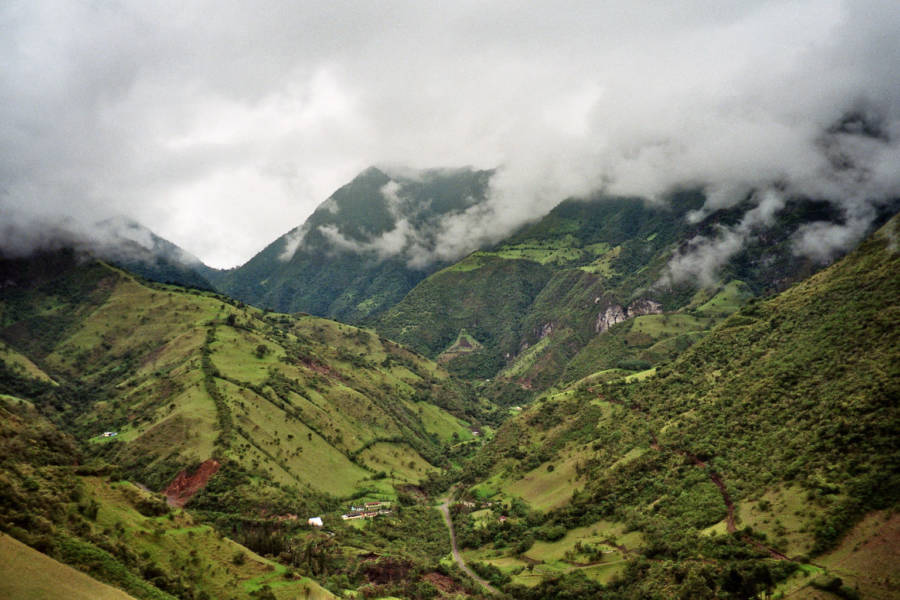 Mindo Cloud Forest In Ecuador