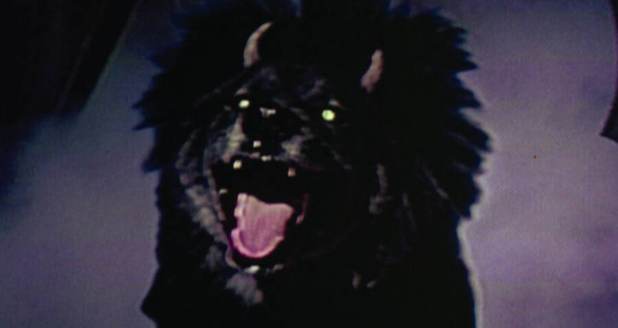 Black Shuck: The Legendary Devil Dog Of The English Countryside