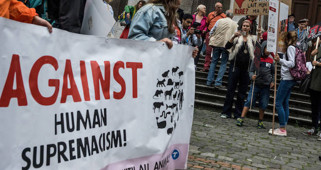 PETA Is Comparing Phrases Such As 'Bring Home The Bacon' To Racist And Homophobic Language