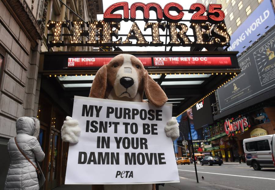Peta Dog Protest