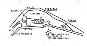 Surgery Remote Control Dog Cia Mkultra