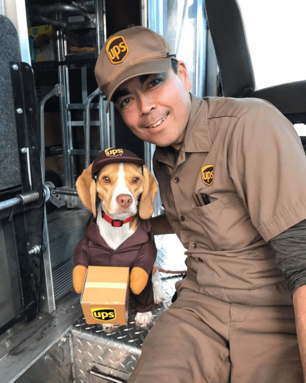 UPS Dogs, The Facebook Group, Is Taking The By Storm