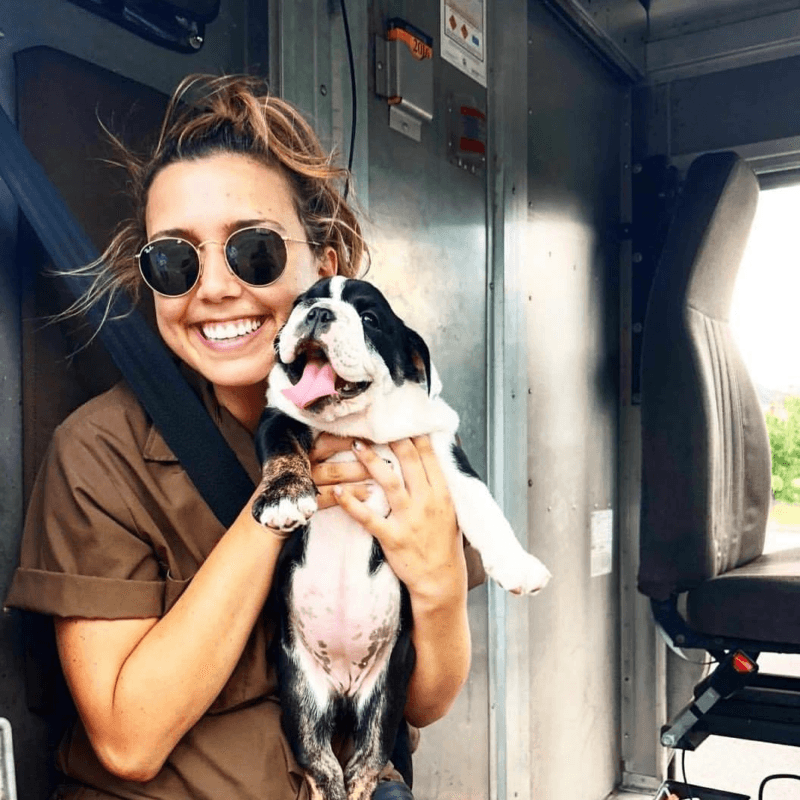 UPS Dogs, The Facebook Group, Is Taking The By Storm