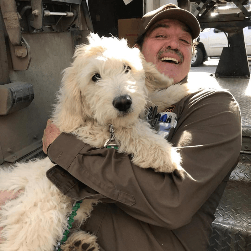 UPS Dogs, The Facebook Group, Is Taking The By Storm