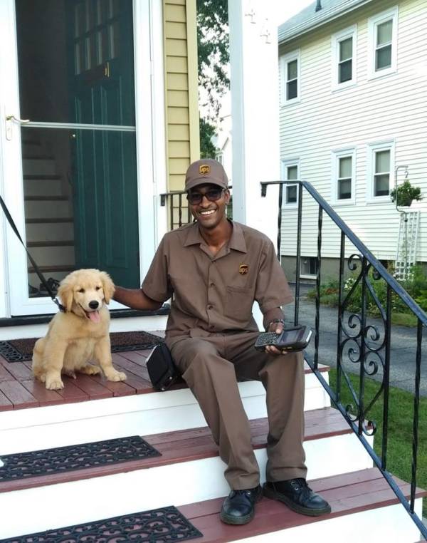 UPS Delivery Man And Golden Retriever Puppy