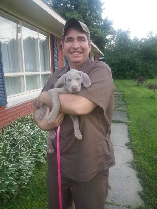 UPS Dogs Puppy In Man's Arms