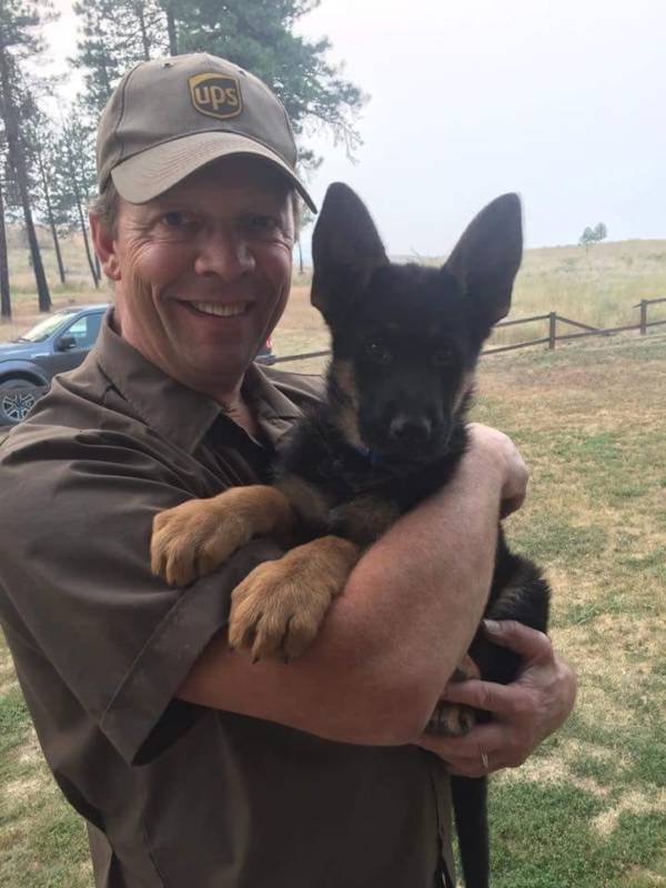 UPS Dog In Delivery Man's Arms