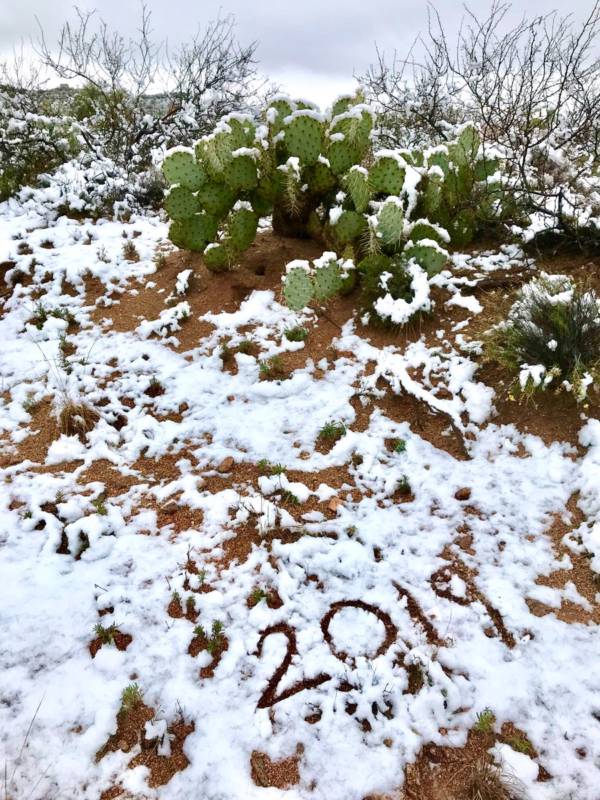 2019 Desert Snowfall