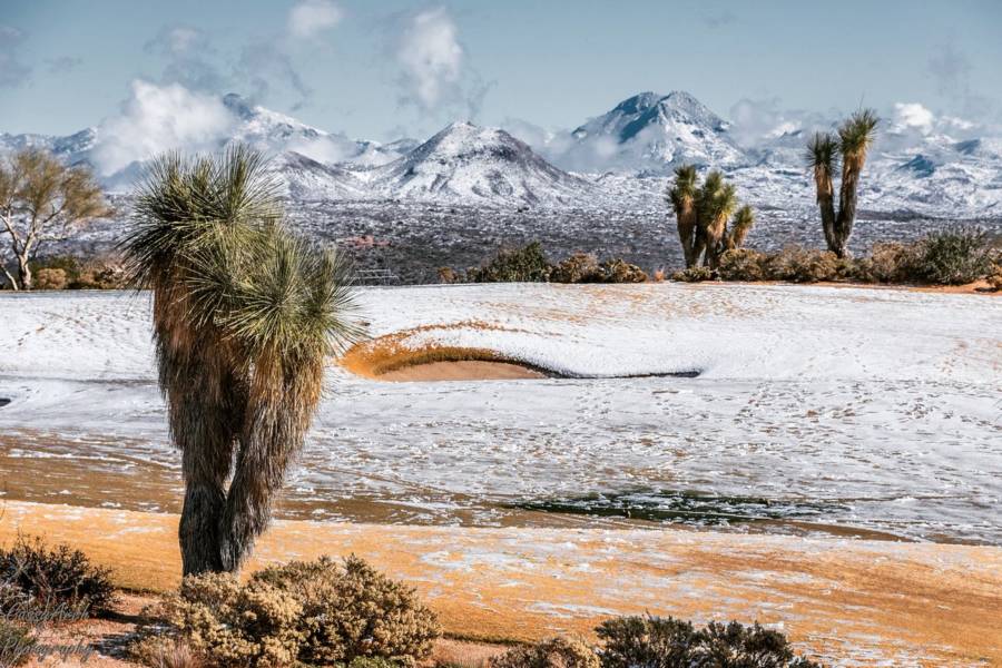 Cactus Mountains Snow