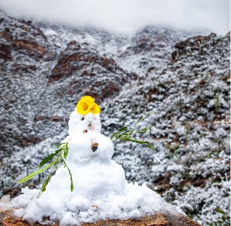 Desert Snowman