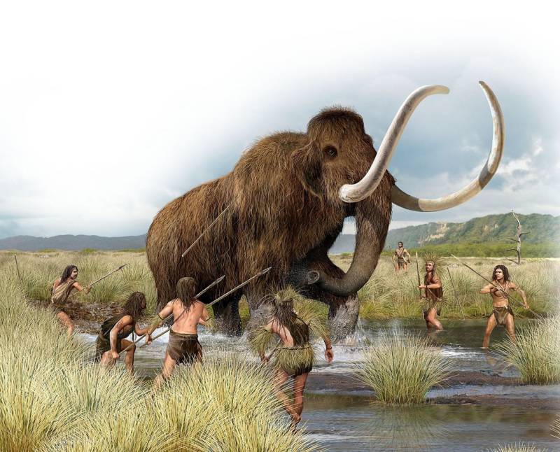 Hunting Woolly Mammoth