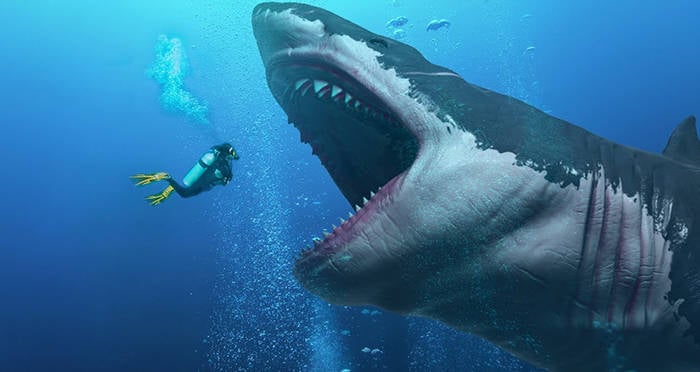 Megalodon: History's Largest Predator That Mysteriously Vanished