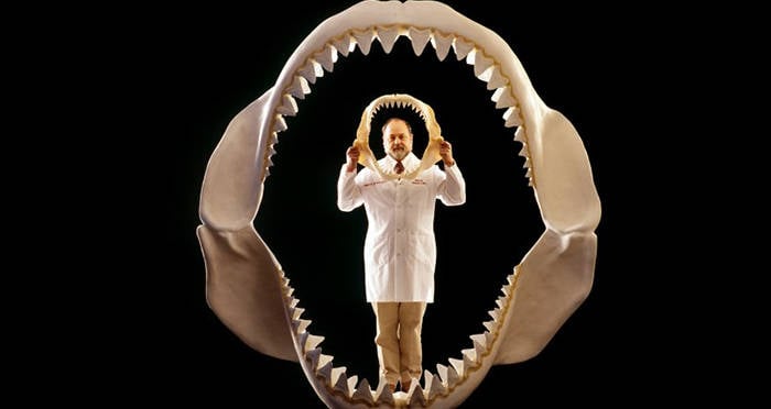 Megalodon History S Largest Predator That Mysteriously Vanished