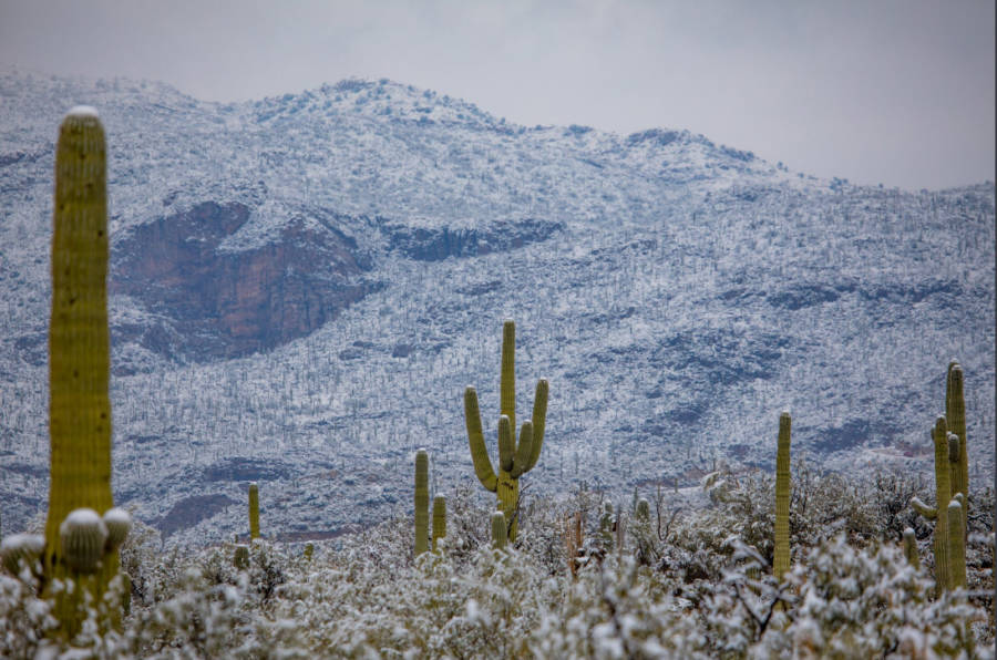 Snowfall Desert Mountains
