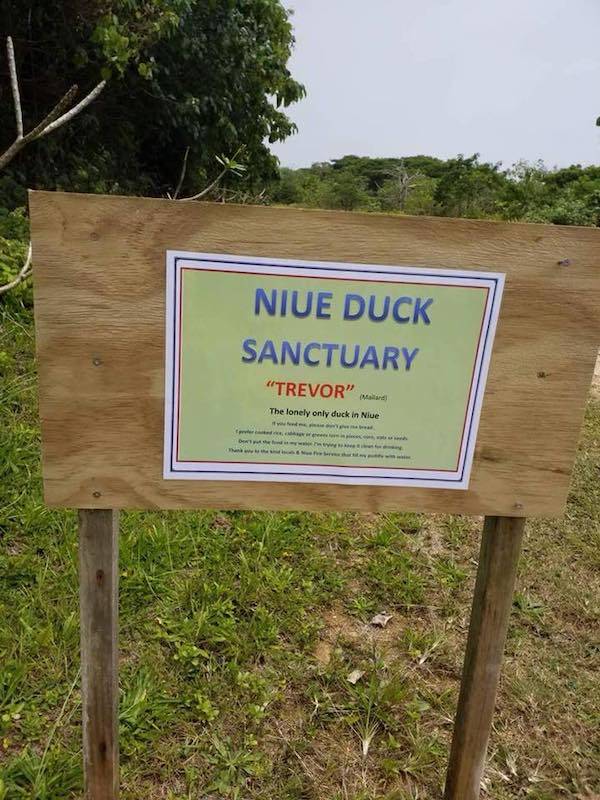 Trevor The Duck Sanctuary Sign