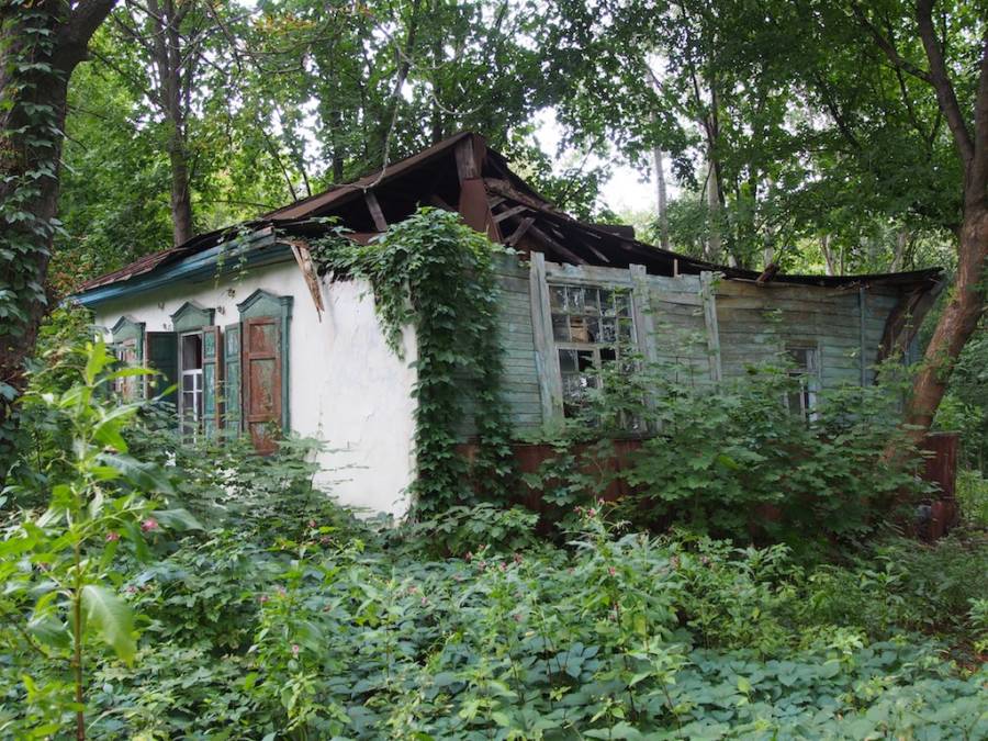 Abandoned Village Retaken By Nature Near Pripyat