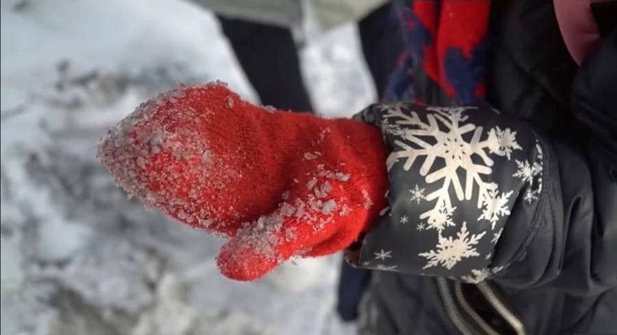 Coal Dust Black Snow Mitten