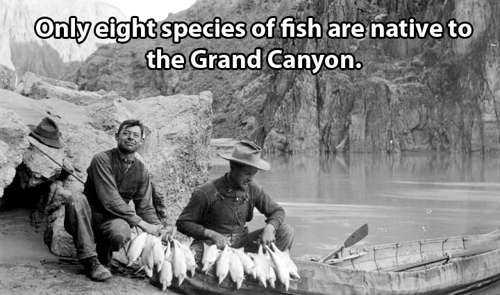 Fishing Men Grand Canyon