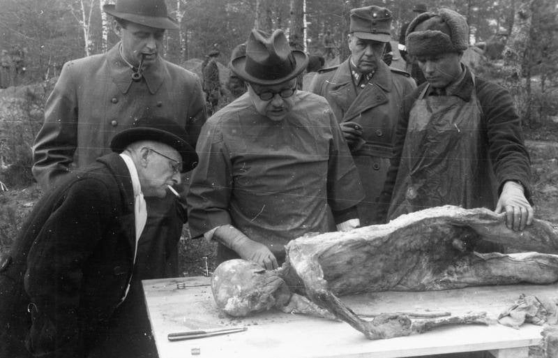 Katyn Massacre 1943 Exhumation Exam