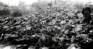 Katyn Massacre Bodies