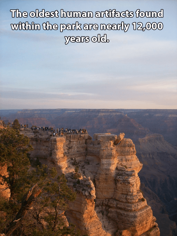 Visitors Mather Point