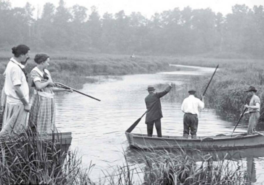 1916 Shark Attacks In Matawan Creek