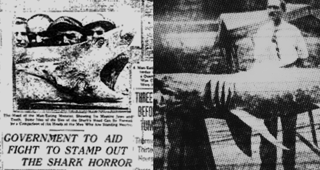 Shark Attacks Of 1916: Four Gruesome Deaths That Began Shark Mania