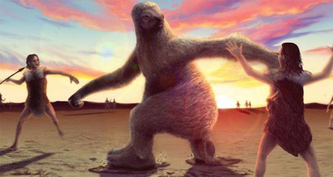 27000 Year Old Giant Sloth Was 13 Feet Tall Fossils Show