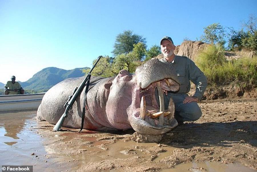 Guy Gorney With Dead Hippo