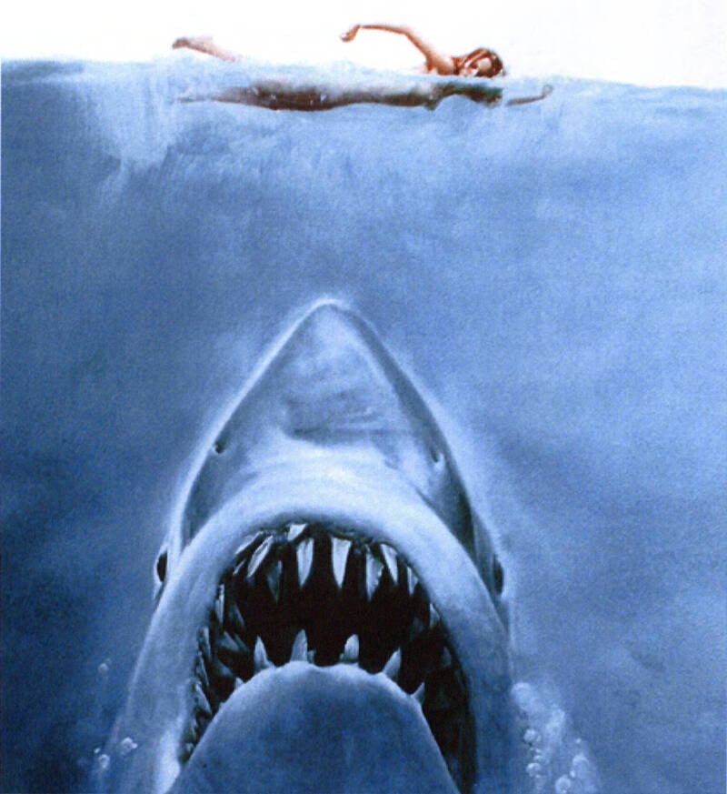 1916 Shark Attacks