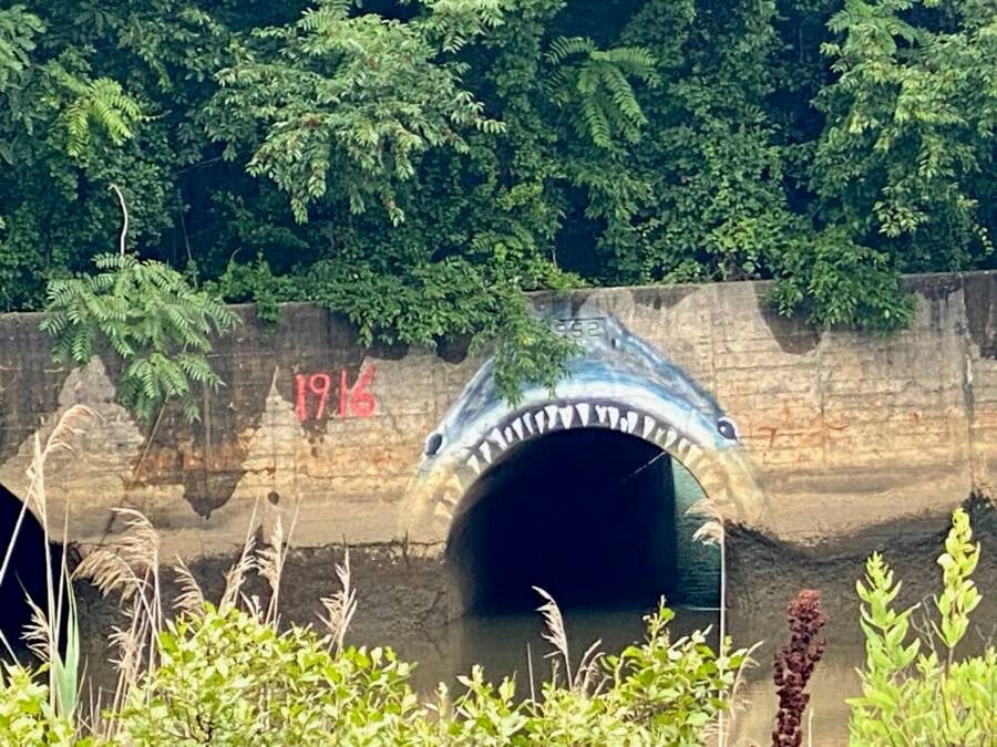 Matawan Creek Shark Mural