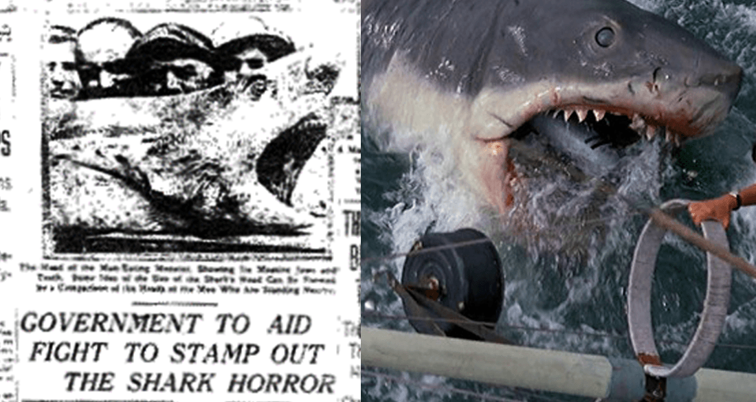 How 1916's Matawan Man-Eater Made Us Afraid of Sharks Today
