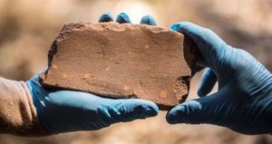 Geologist Holding Old Stone