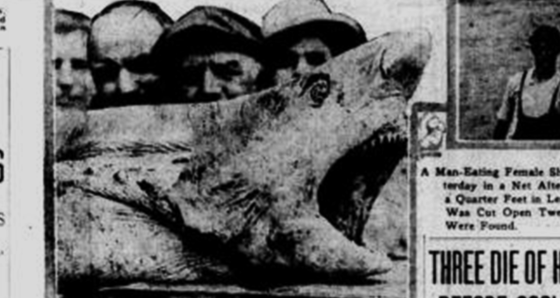 shark-attacks-1916-newspaper-article-fea