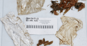 Screen Shot 2019 04 30 At 1.05.45 PM