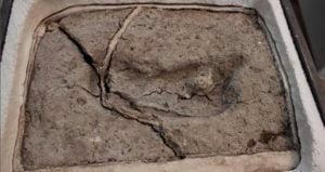 Chile Human Footprint Excavated