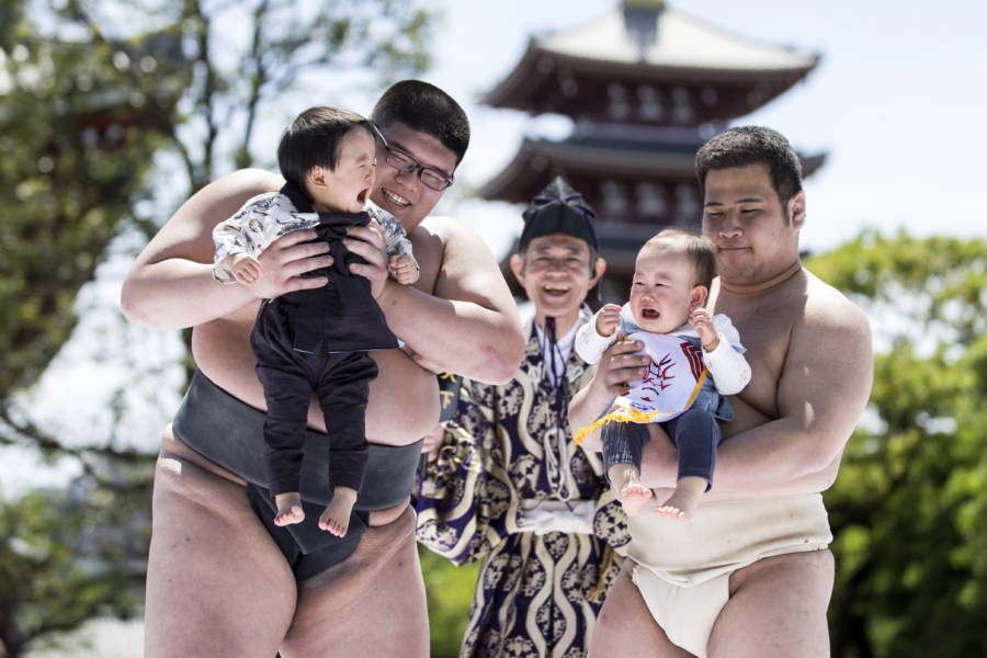 Crying Babies Naki Sumo