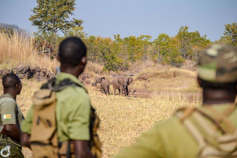 Anti-Poaching Unit