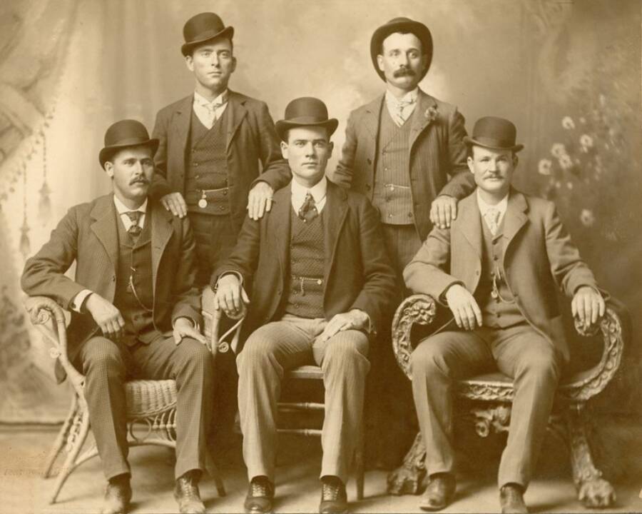 Wild Bunch