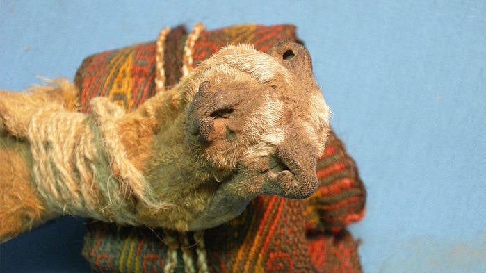 Ancient Bolivian Pouch