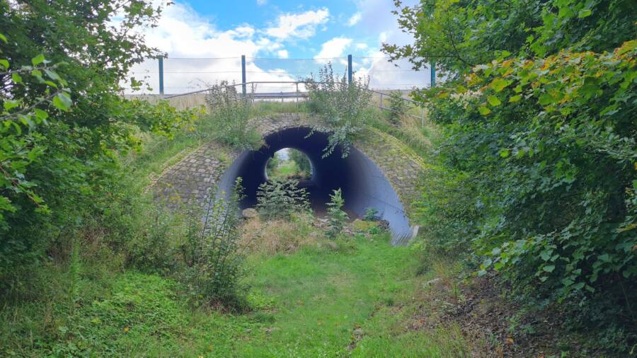 Animal Bridges Germany