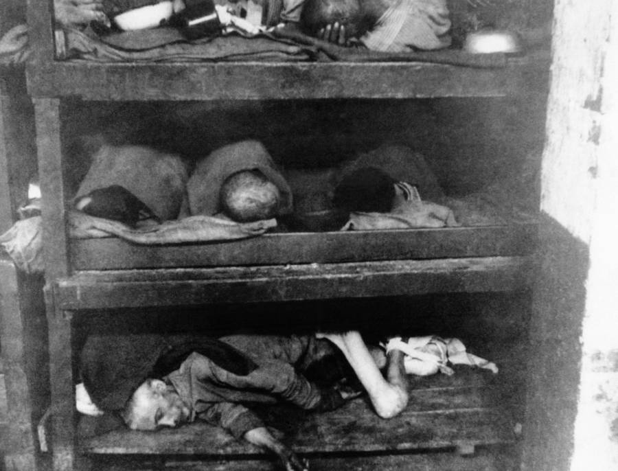 concentration camp photos mmass gravesd